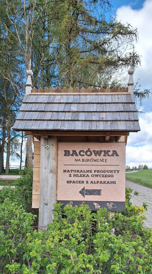 Bacowka 500