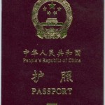 Paszport brazowy